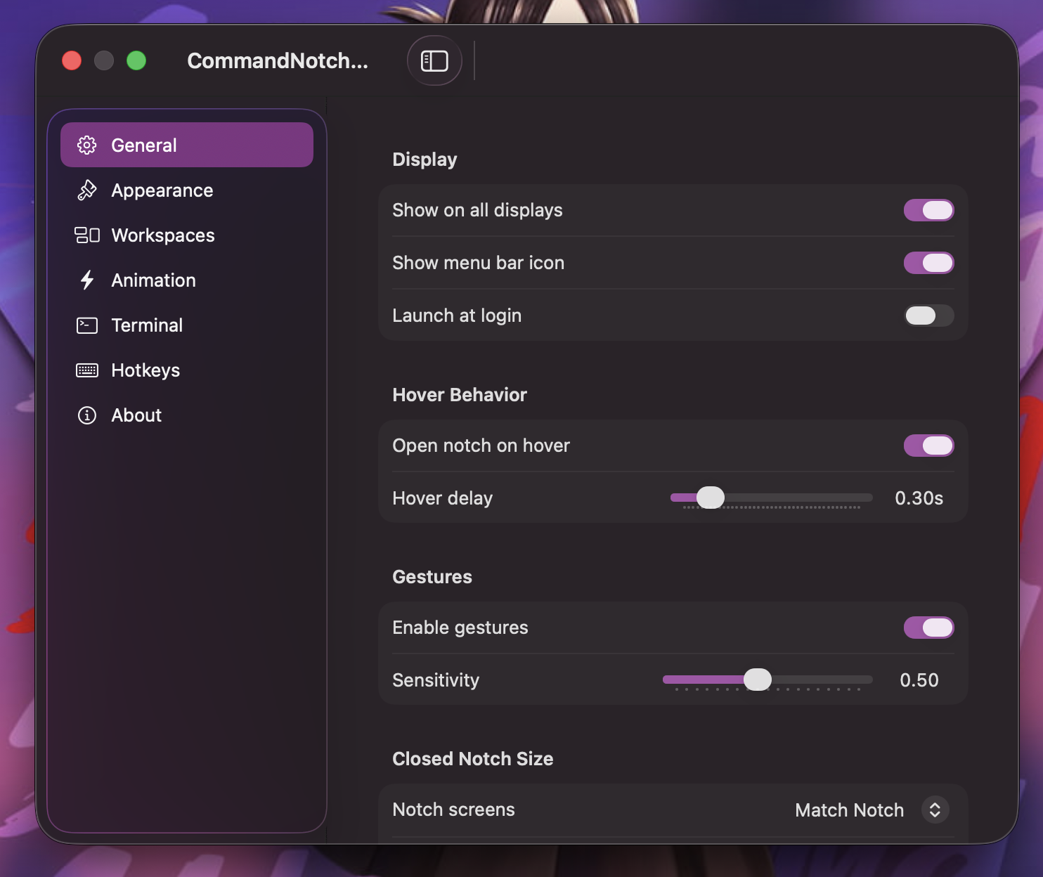 CommandNotch settings window