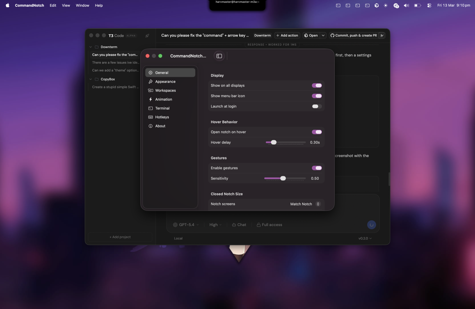 Downterm settings window